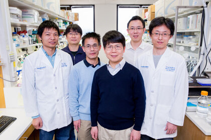 chen-lab