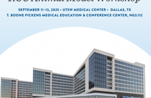 Screenshot 2025-11-13 120544