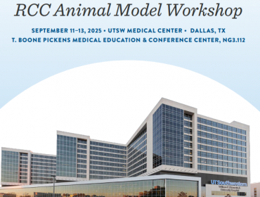 Screenshot 2025-11-13 120544